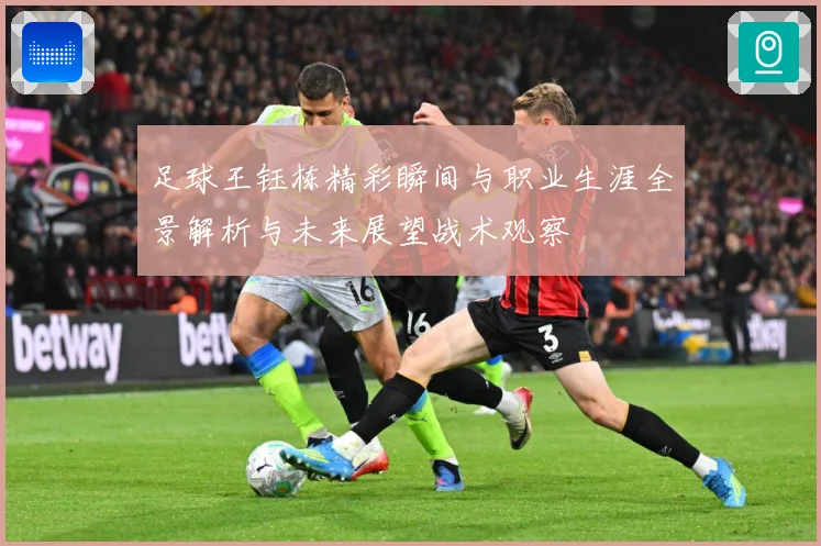 足球王钰栋精彩瞬间与职业生涯全景解析与未来展望战术观察