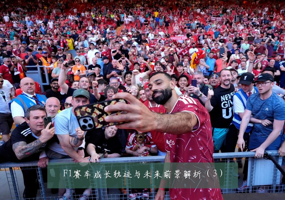 F1赛车成长轨迹与未来前景解析（3）